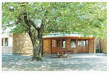 �؂̉�����̂��鉀��