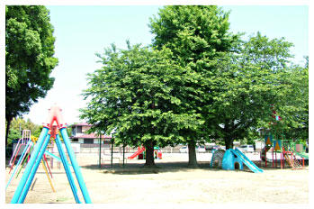 �{���c�t���@�Ẳ���