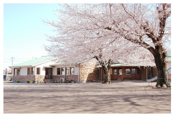 �{���c�t��